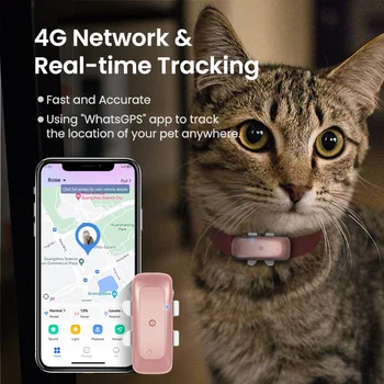 Водоустойчив IP67 Локатор на домашни любимци 4G LTE Умен GPS тракер за домашни любимци, устройство за проследяване, за куче, котка, дребен домашен любимец
